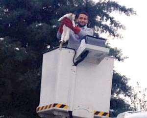 estim-kedi-kurtarildi