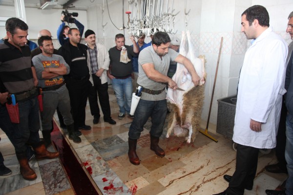 kurban_kesim_esenler